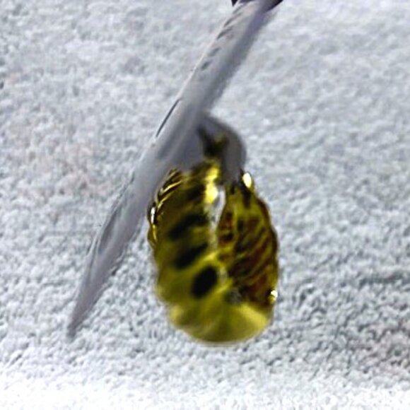 Kate Spade gold tone pierced "French Twist" earrings NWT - Picture 4 of 5